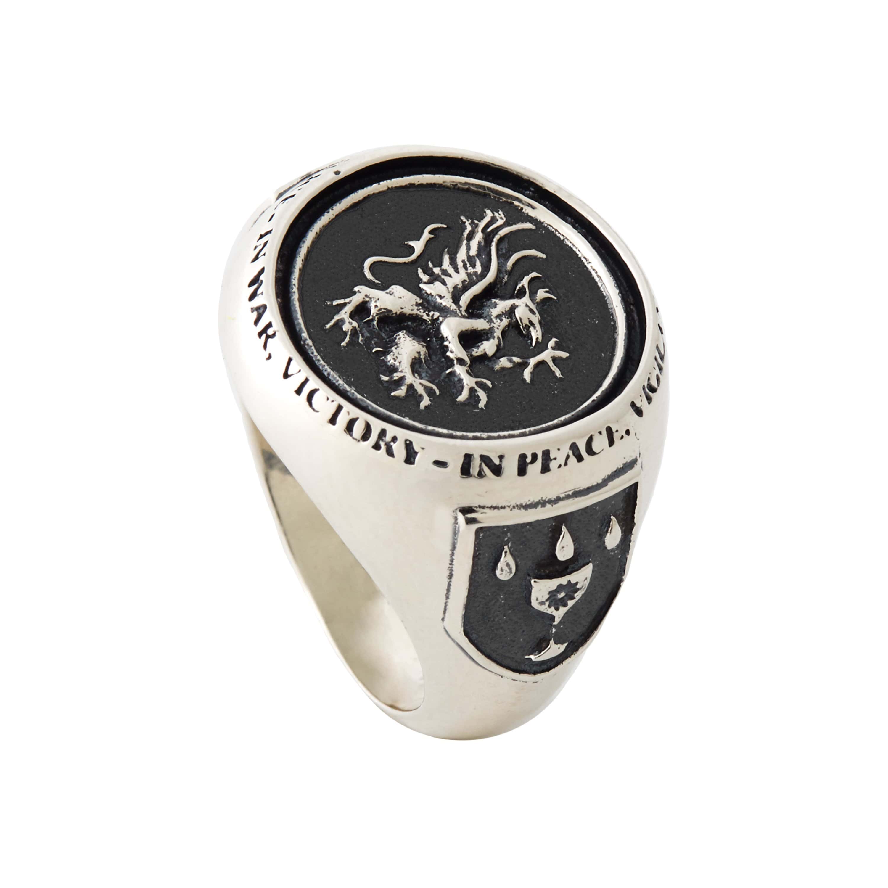 Dragon Age - Grey Warden Signet Ring - Image 2